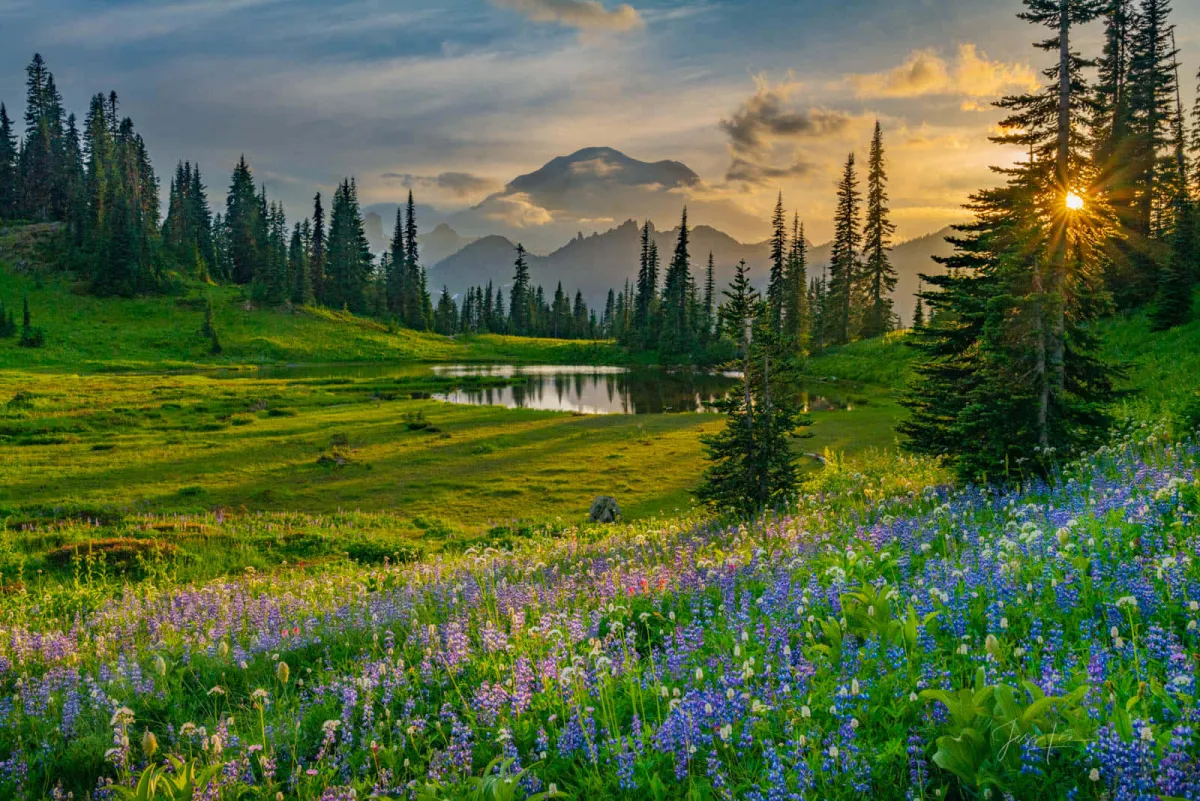 Nature Medicine