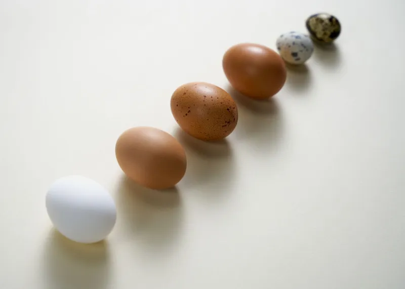 Counting Protein Grams? You Might Be Measuring the Wrong Thing